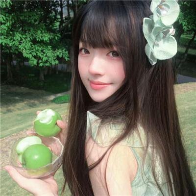 间谍粉碎者